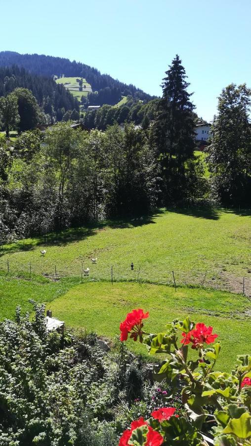 Appartement Maurer نيديراو المظهر الخارجي الصورة